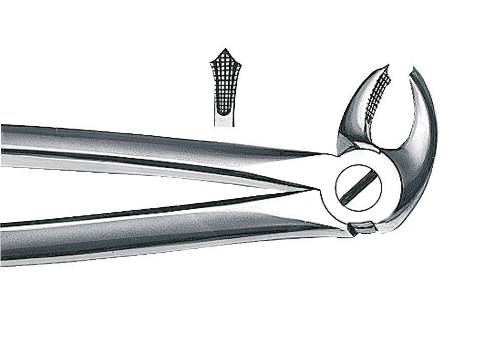 Orbis ekstraktionstang, 22, UK, molar h/v, 1stkKøb i webshopVarenummer 81245